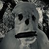 theshrouded