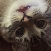rosebud_2023