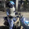 2108212xubong