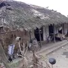 traingheoaiyeu2