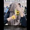 pipit.2403