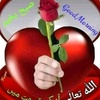 sayyed09049207