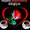 user4424521