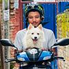 aniketforstreetdogs