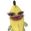 h.f2896