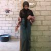 minalombok2