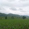 khunaung58