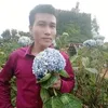 usereh7jwaa215