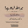 chhammadjutt403