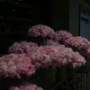 vanxinhyeu268