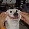 teniente_lucho