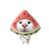 duongly12455