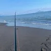 sd950129
