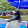 siti.syaira
