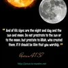 The Believer