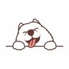 zumoyed