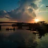 dungphan686868