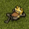 habbofrog