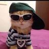 supercoolcat45