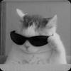 coolcats_rule