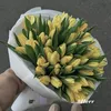 huynhphuong2226