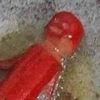 juicysquirt69