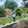 bds_tpdian86