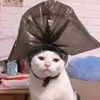 cumakesayangan