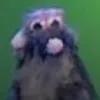 squiddlleyy