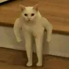 madziulkaaa_12