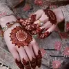 sabina25856