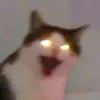 haha43389