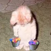 lilsupweme