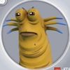 kovacs_matthew