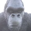 ihfgjjjhfdeuj