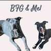 bfgandmel