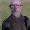 itsloko23