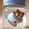 calpiercat