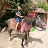 hawzhin__jalil