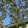 spillprodukuntukkamu