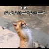 rko2z7leyg4