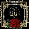 user8944287906535