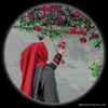 user29187612