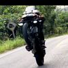 apinan_211