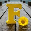 fofoahmed585