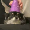 nico__mno