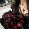 sw._.2005