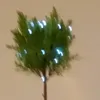 nezyrq