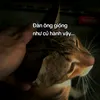 huykdzvippro123