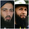 hashimamla8